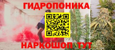амф Свободный