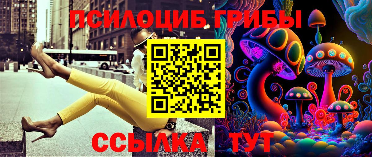 Галлюциногенные грибы Cubensis Самара