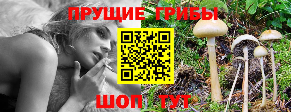 Самара  Псилоцибиновые грибы Psilocybine cubensis  Вход с VPN 